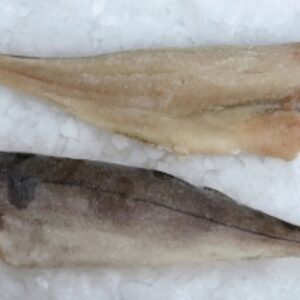 resources of Haddock Fillet exporters