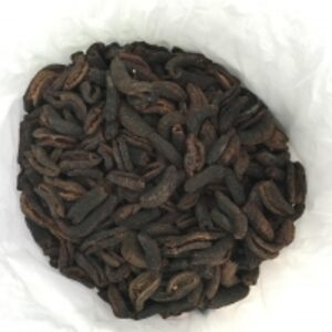 resources of Sea Cucumber exporters
