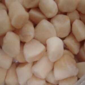 resources of Peruvian Scallop (Argopecten Purpuratus) exporters