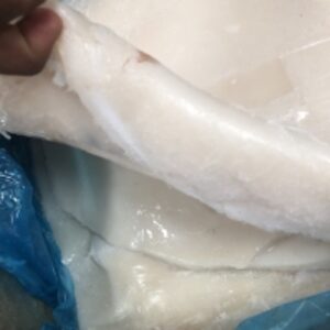 resources of Giant Squid (Dosidicus Gigas) exporters