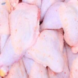 resources of Mackerel exporters