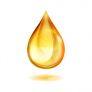 resources of (Fish) Salmon Oil Hc exporters