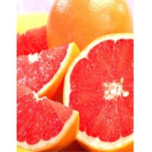 resources of Grapefruit exporters