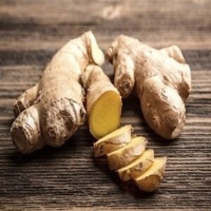 resources of Ginger exporters