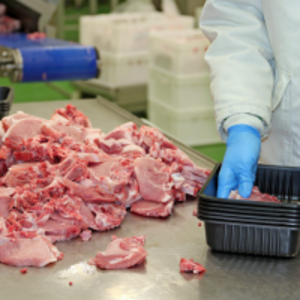 resources of Brazilian Pork exporters