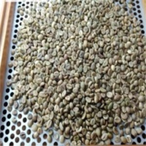 resources of Vietnam Robusta Coffee Bean exporters