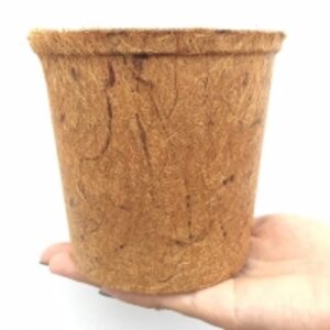 resources of Coir Planting Pot exporters