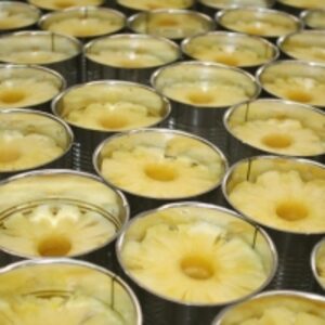 resources of Canned Pineapple exporters