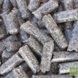 resources of Beet Pulp exporters