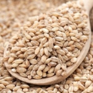 resources of Pearl Barley exporters
