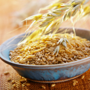 resources of Oat exporters