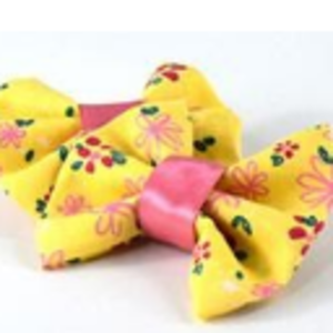 resources of Hairclips Set Of Two Pieces 09 exporters