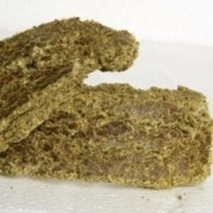 resources of Cotton Seed Oil Cake exporters