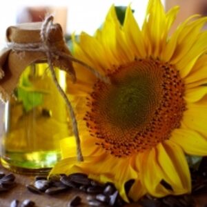resources of Sunflower Oil exporters