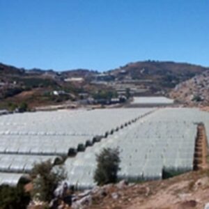 resources of Greenhouse Plastic exporters