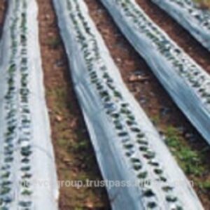 resources of Mulch Film exporters