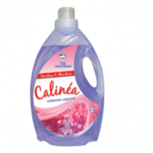 resources of Liquid Detergent exporters