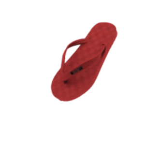 resources of 1008 (Bright) Slipper exporters