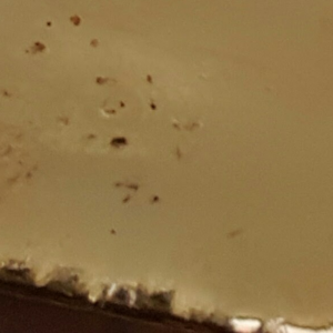 resources of Offer GOLD BARS 22ct and 96% Gold/GOLD NUGGETS/BARS/INGOTS exporters