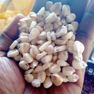 resources of Maïs exporters