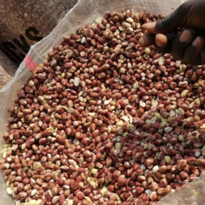 resources of Arachides exporters