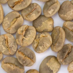 resources of Green and Roasted Coffee Beans Brazil exporters