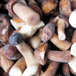 resources of Frozen porcini exporters