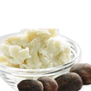 resources of SHEABUTTER exporters