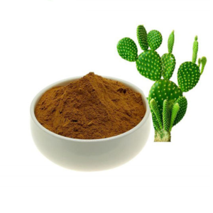 resources of Nopal Powder exporters