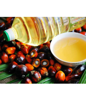 resources of Palm oil exporters