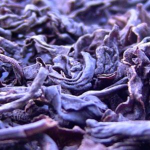 resources of TEA exporters