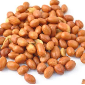 resources of Peanut exporters