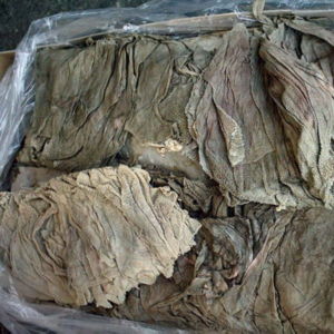 resources of Frozen Salted Beef Omasum exporters