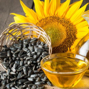 resources of Refined Sunflower Oil exporters