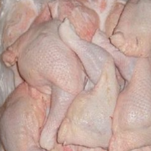 resources of Frozen Chicken 3-Joint Wings exporters