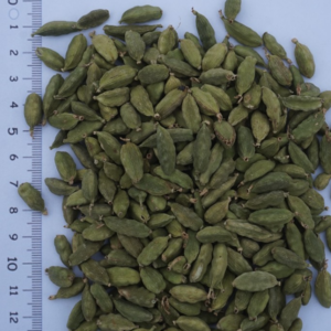 resources of Organic Cardamom Bold Green exporters