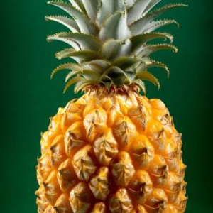 resources of Pineapple exporters