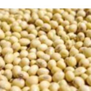 resources of Soya beans exporters
