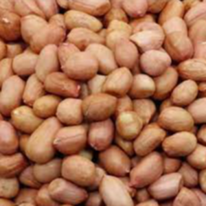 resources of Peanuts exporters