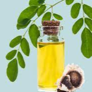 resources of moringa oils exporters