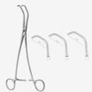 resources of Satinsky exporters