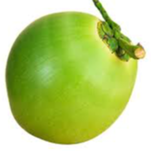 resources of COCONUT exporters