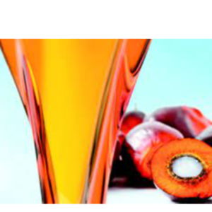 resources of Huile de palme exporters