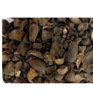 resources of Palm kennel  Shells (PKS} exporters