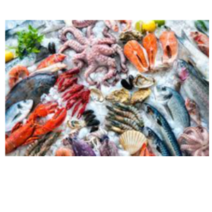 resources of Fish & Sea products exporters