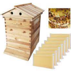 resources of Wooden beekeeping equipment: exporters