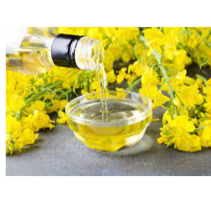 resources of Canola Oil exporters