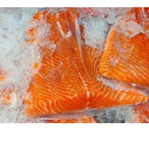 resources of Salmon Trout(Fresh Fillets,	Frozen Fillets) exporters