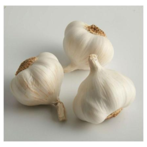 resources of Garlic exporters
