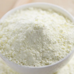 resources of Skimmed Milk Powder exporters